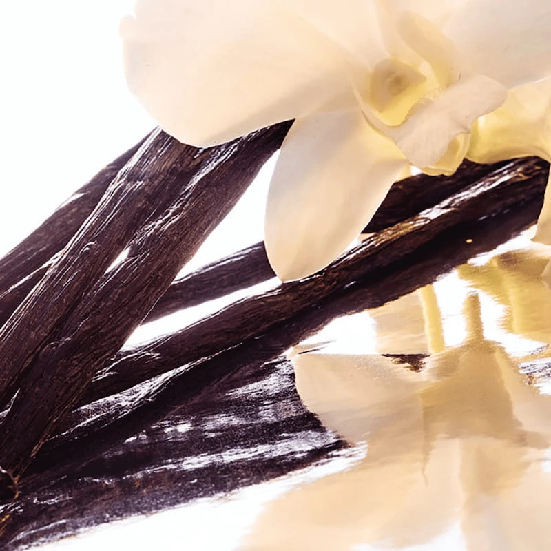 Guerlain Shalimar Eau De Parfum Vaporisateur Recharge 50 Ml – Image 3