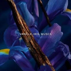 Guerlain Shalimar Millésime Iris Eau De Parfum 50 Ml