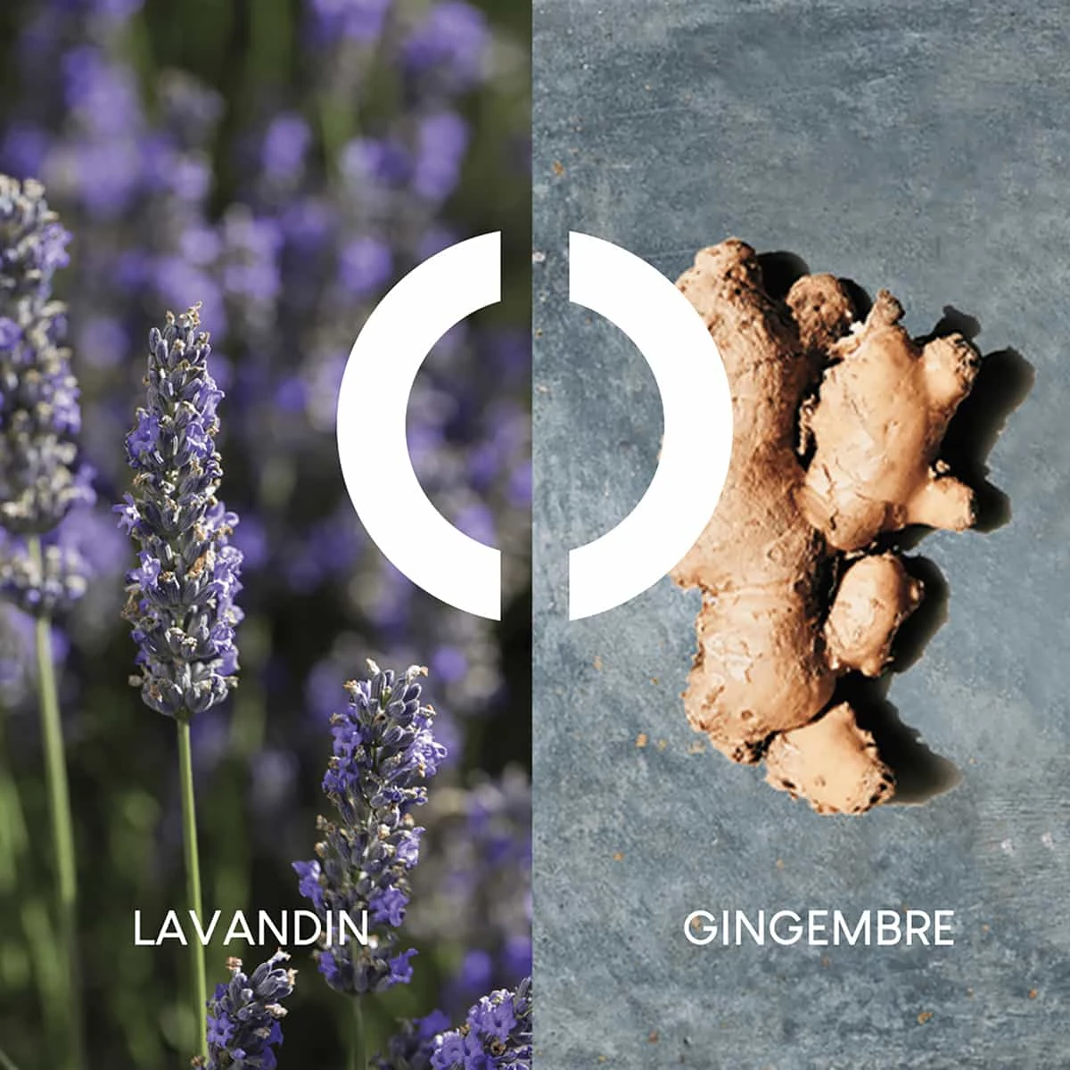 Pour Un Homme De Caron Le Matin Gel Douche Corps & Cheveux 200 Ml – Image 2