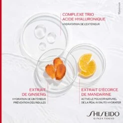 Shiseido Essential Energy 24H Recharge Crème Jour Hydratation SPF20