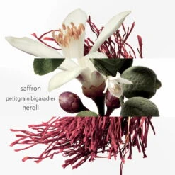 Hermès Eau De Néroli Doré Eau De Cologne