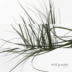 Hermès Un Jardin Sur Le Toit Eau De Toilette