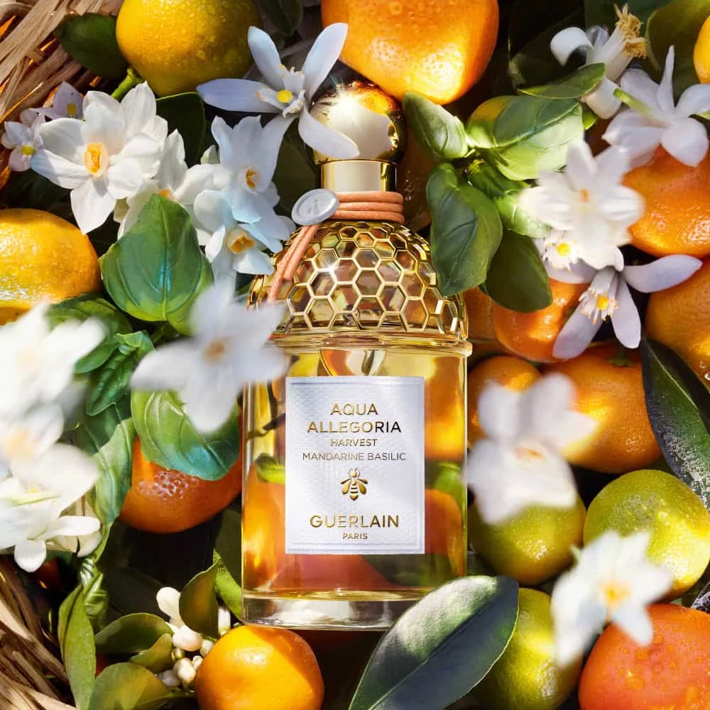 Guerlain Aqua Allegoria Harvest Mandarine Basilic Eau De Toilette Vaporisateur 125 Ml – Image 3