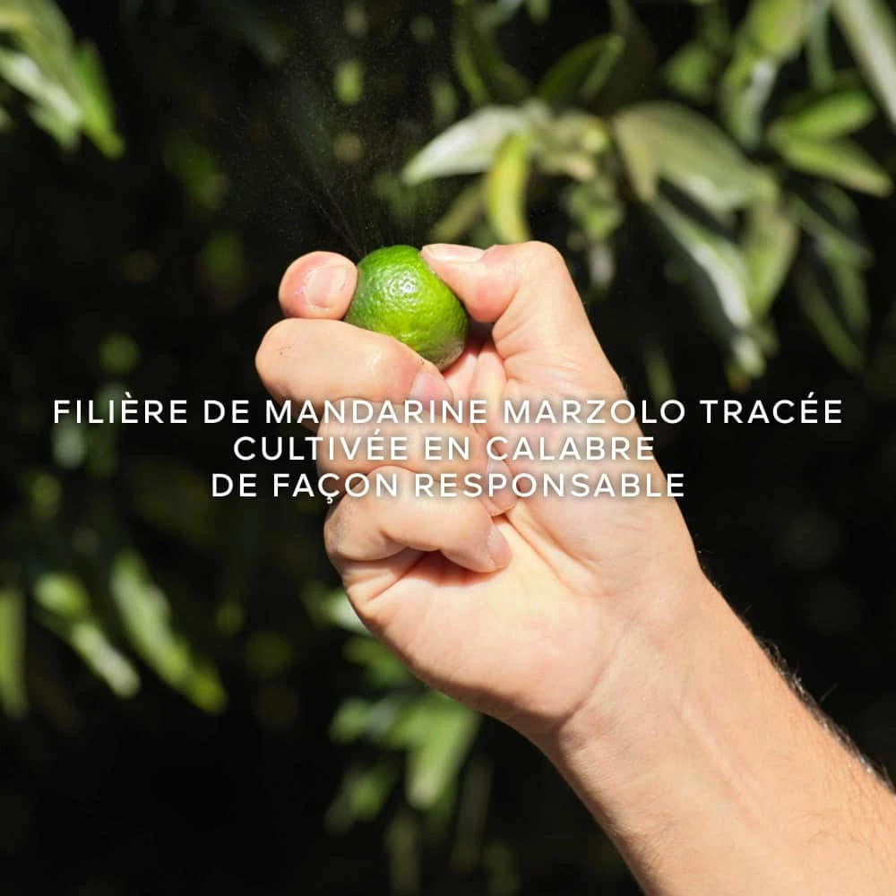 Guerlain Aqua Allegoria Harvest Mandarine Basilic Eau De Toilette Vaporisateur 125 Ml – Image 8