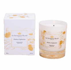 Bougie PétaLes D'Eglantine Collection Royale